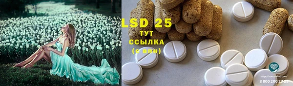 гидра Пестово