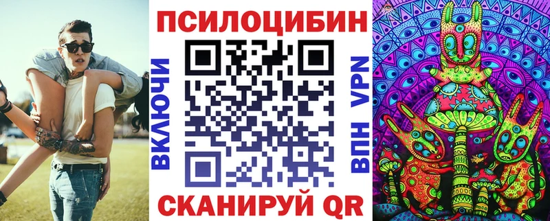blacksprut ССЫЛКА  Инза  Галлюциногенные грибы Psilocybe 